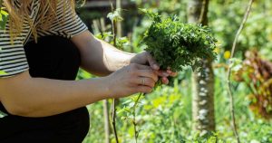 2fdf6e68407c10214e734be690c55eb1