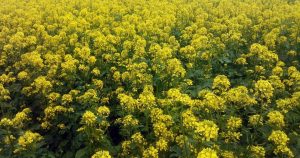 4f0952acb6d1522e8e2e2b2a092a760b