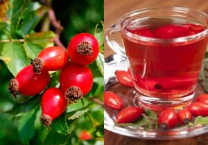 yak-zavaryuvaty-shypshynu-pravylno