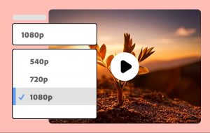 яка точність роботи програми firefly,