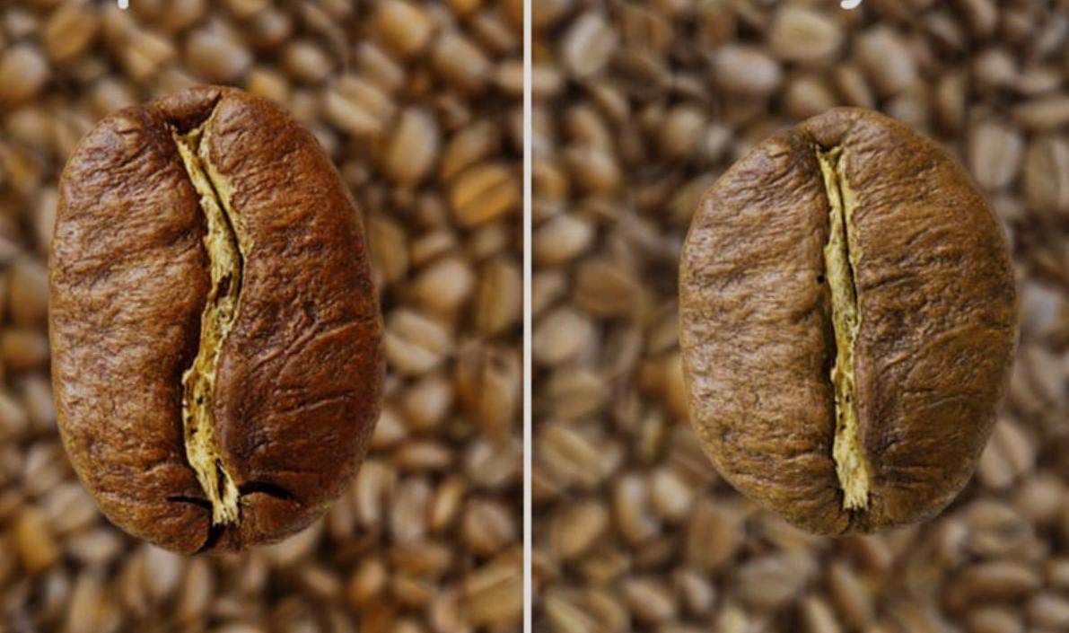 арабіка-і-робуста-різниця