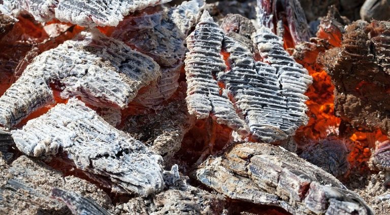 що-таке-зола