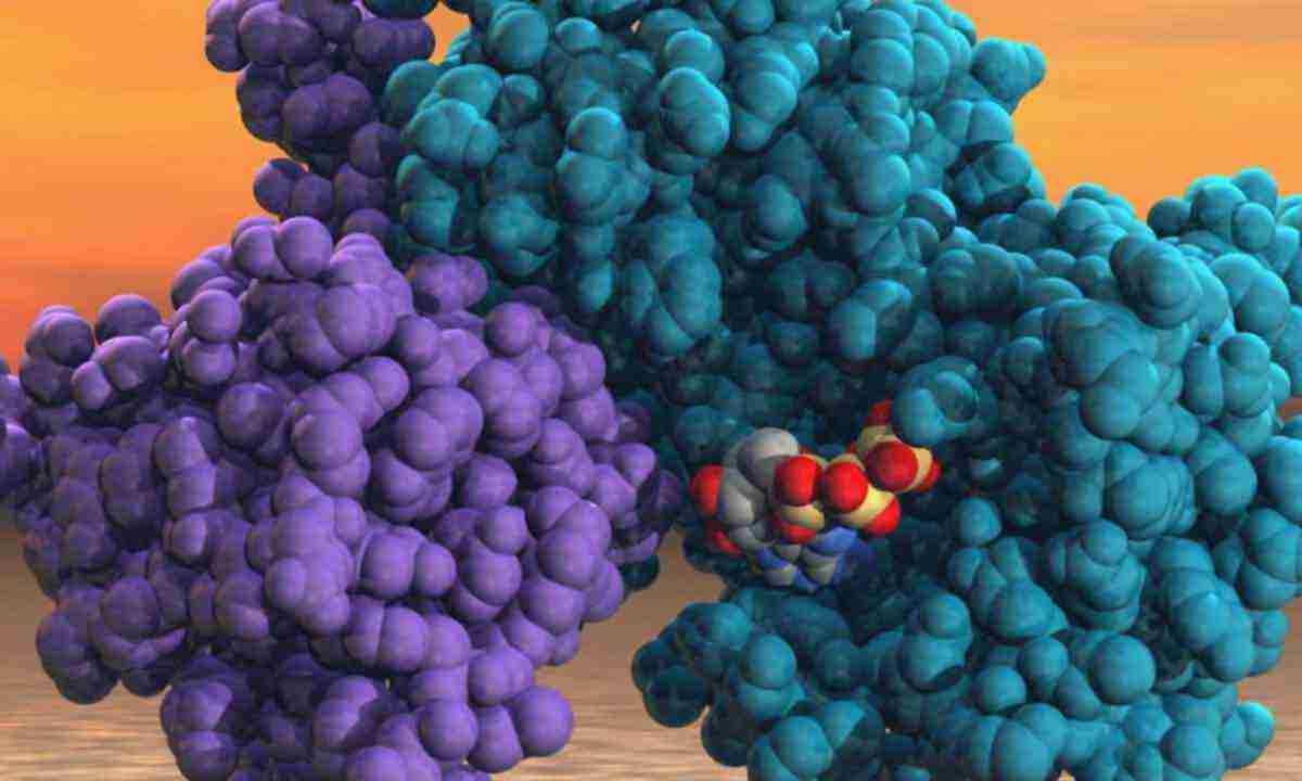 що-таке-ферменти