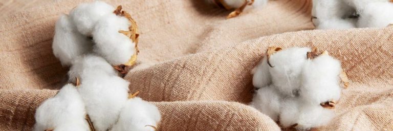 бавовна-это