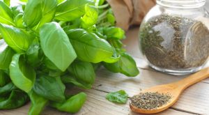 базилік-користь