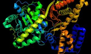 денатурація-це