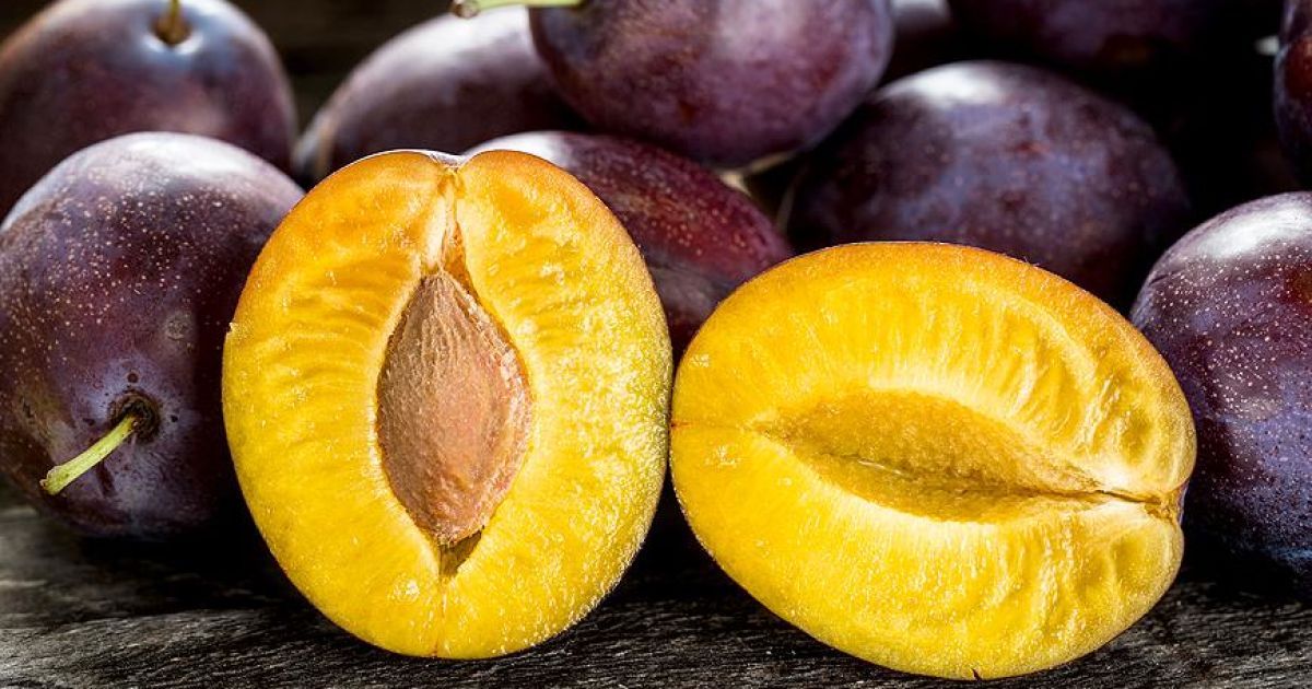 диплоїдна-слива-це