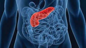 дифузні-зміни-печінки-та-підшлункової-залози