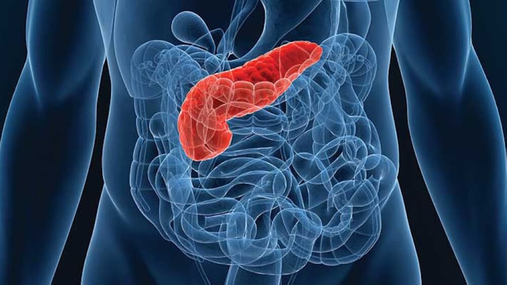 дифузні-зміни-печінки-та-підшлункової-залози