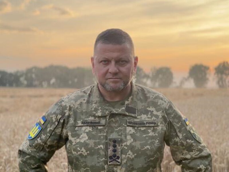 залужний-біографія