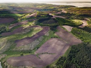 каштанові-грунти