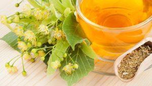 липа-лікувальні-властивості