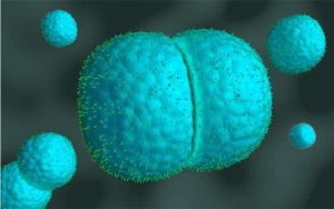 менінгіт-як-передається