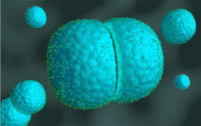 менінгіт-як-передається