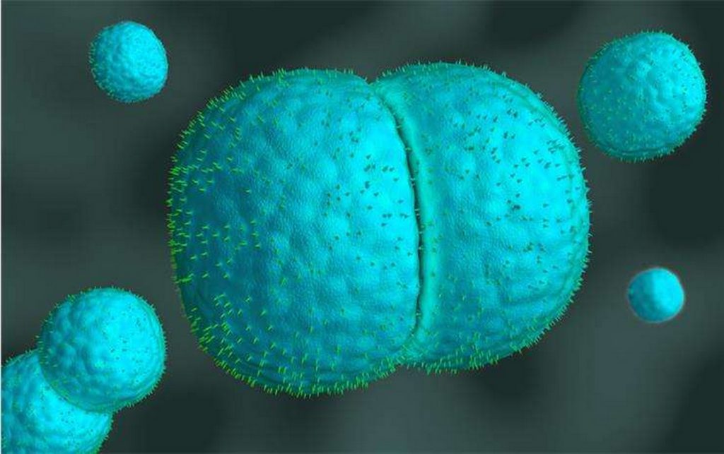 менінгіт-як-передається