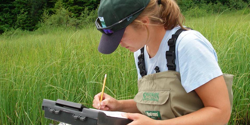 методи-екологічних-досліджень