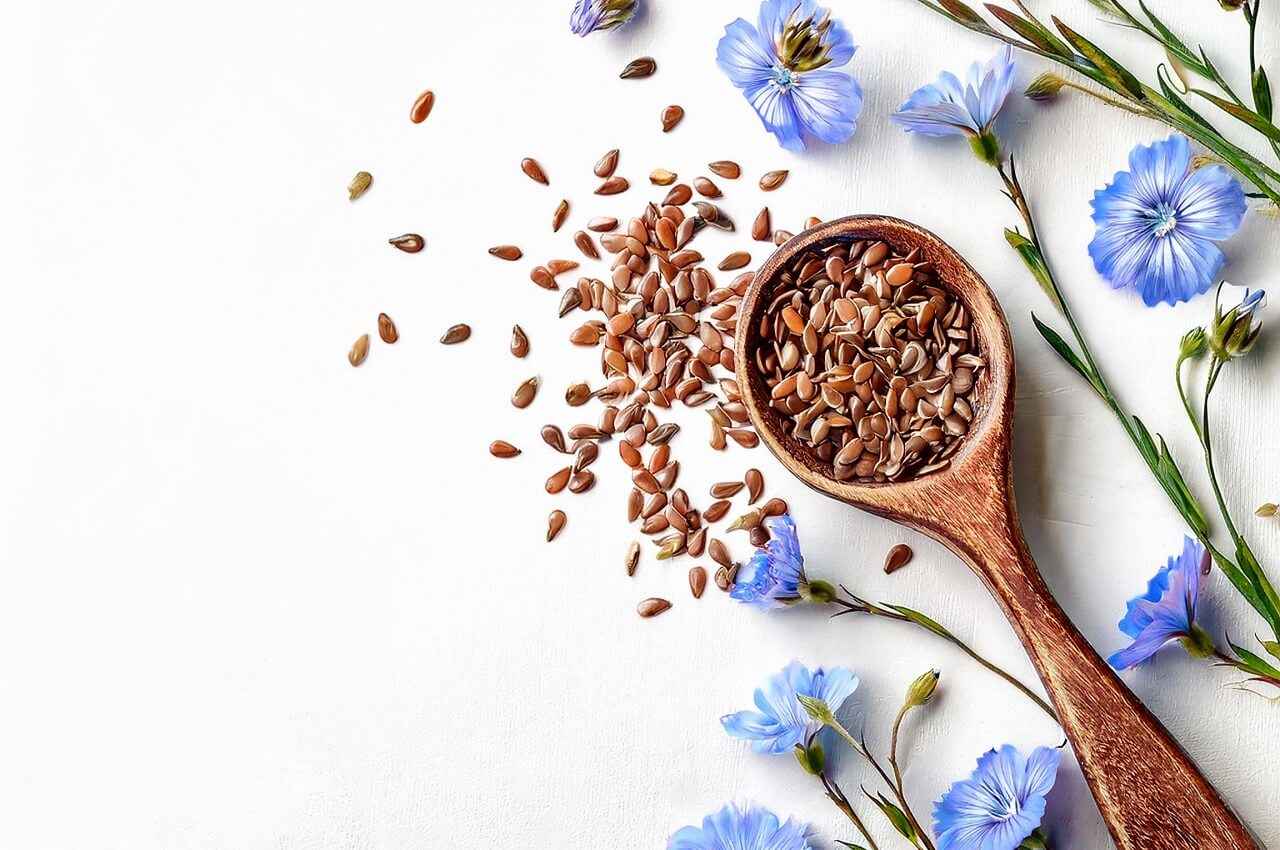 насіння-льону-користь-і-шкода