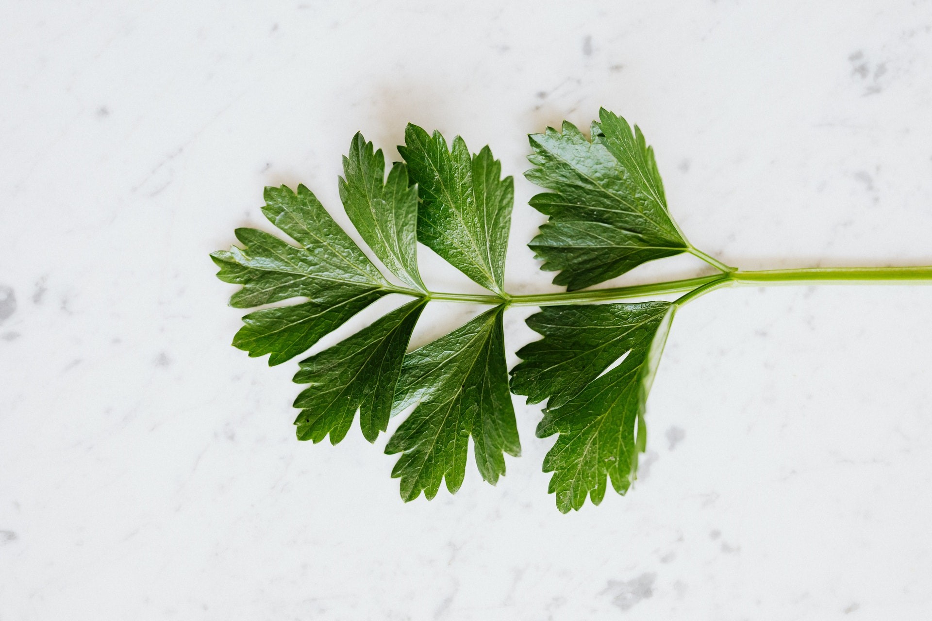 петрушка-користь