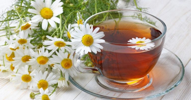ромашка-чай-користь-і-шкода