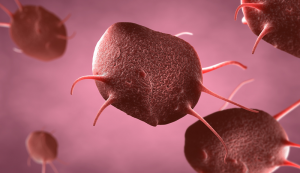 тромбокрит-підвищений-у-дитини