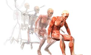 фізіологія-це