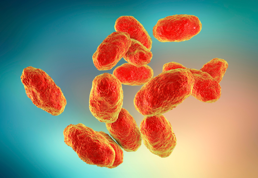 хіб-інфекція-це