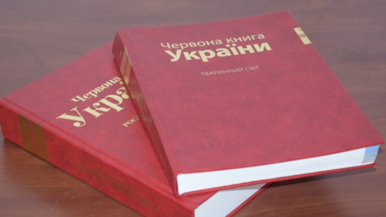 червона-книга-це