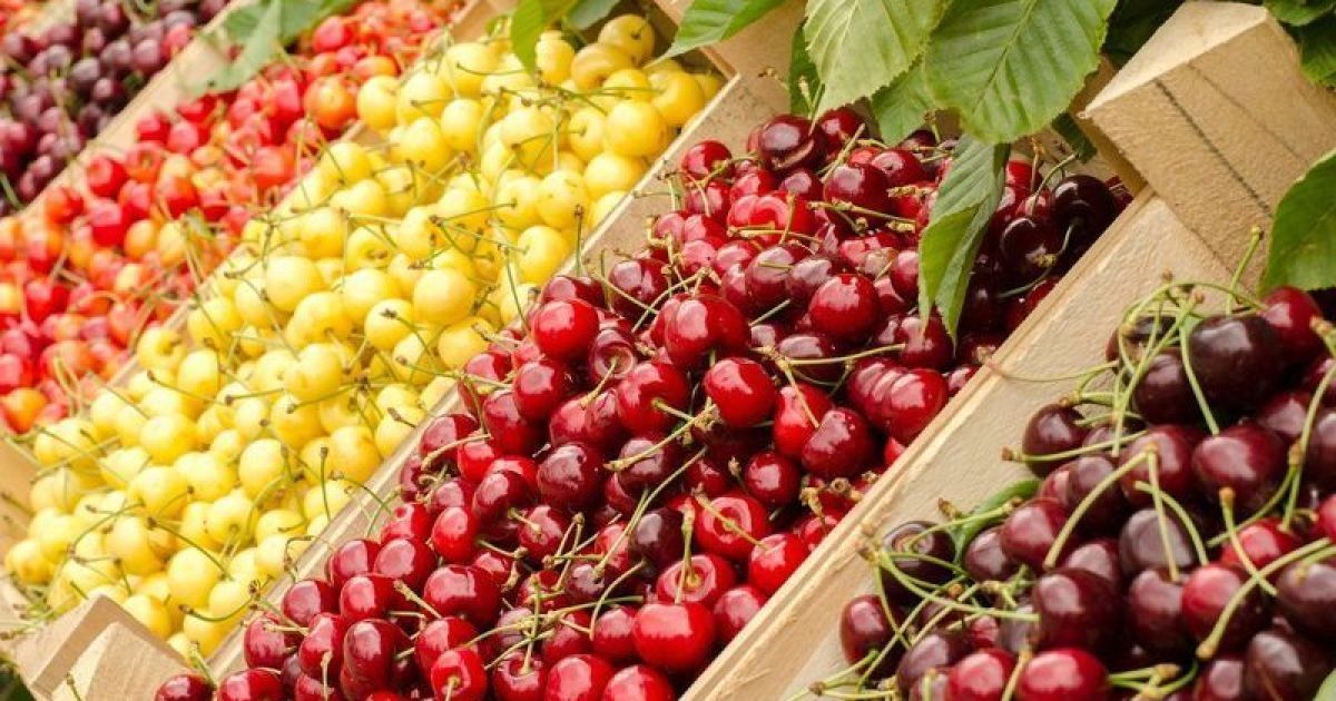 черешня-користь