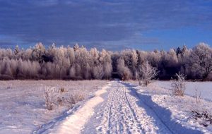 що-таке-кліматичний-пояс