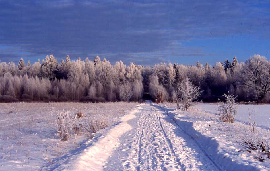 що-таке-кліматичний-пояс