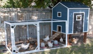 як-зробити-курник