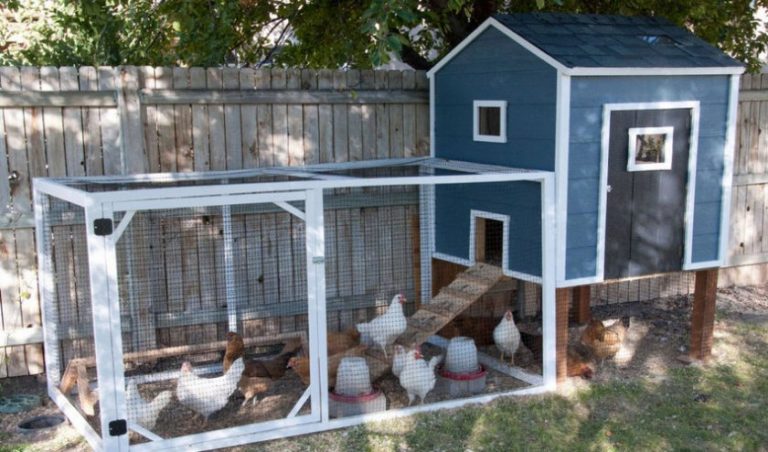 як-зробити-курник