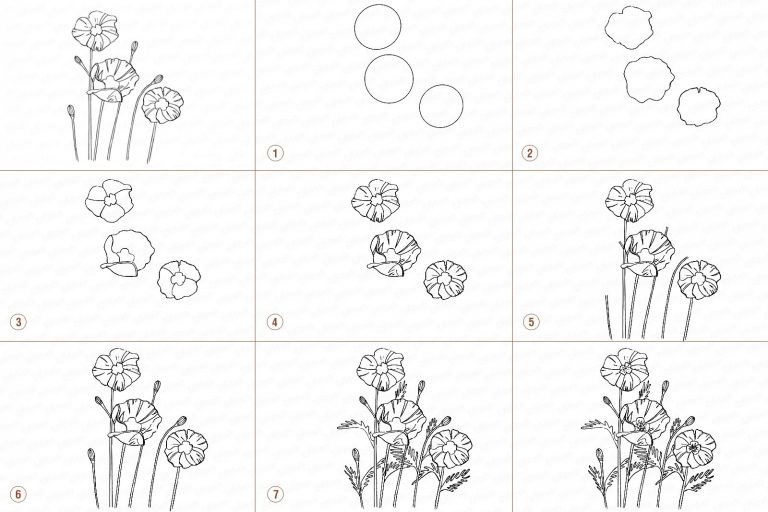 як-намалювати-букет-квітів