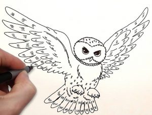 як-намалювати-сову