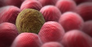 як-передається-рак