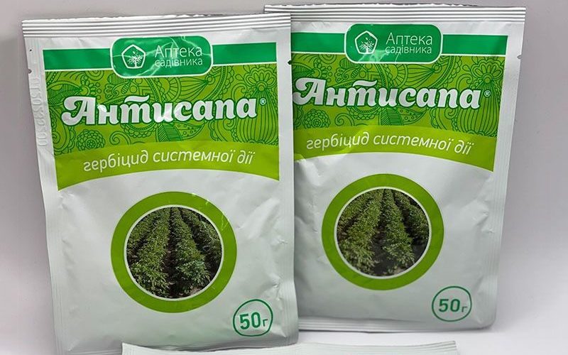 які-культури-можна-обробляти-антисапа