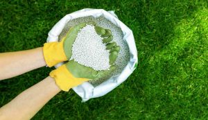 аміачна-селітра-застосування