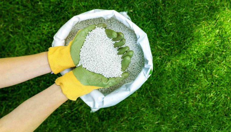 аміачна-селітра-застосування