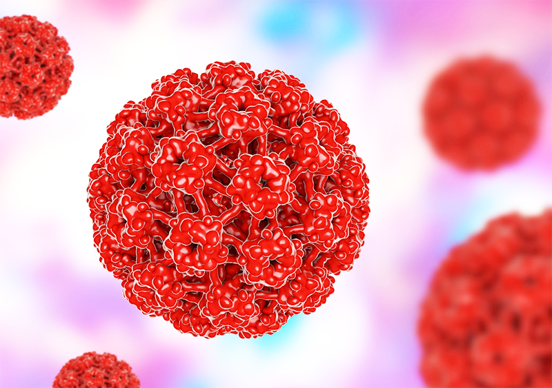 впл-як-передається