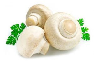 гриби-печериці