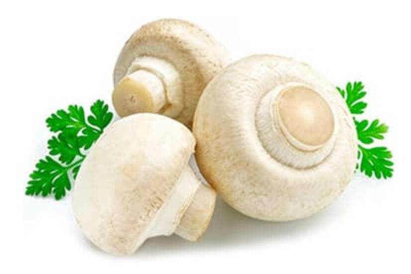 гриби-печериці