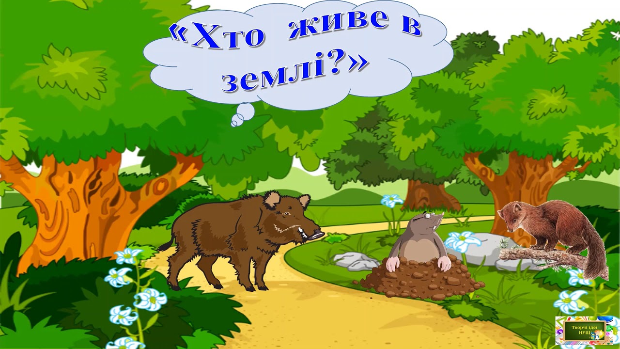 дидактична-гра-хто-де-живе