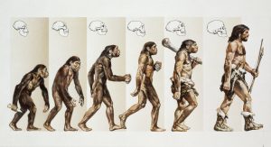 еволюція-це