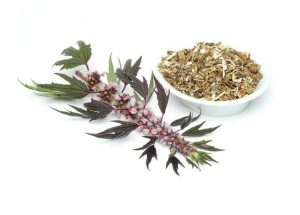 пустирник-від-чого