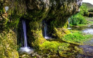 українські-джерела