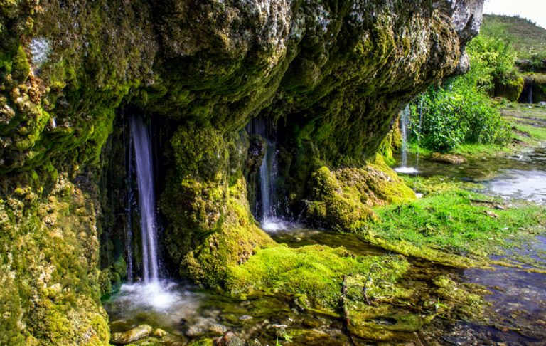 українські-джерела