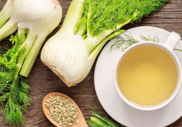 фенхель-користь