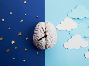 циркадні-ритми