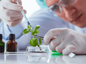 що-таке-біотехнологія