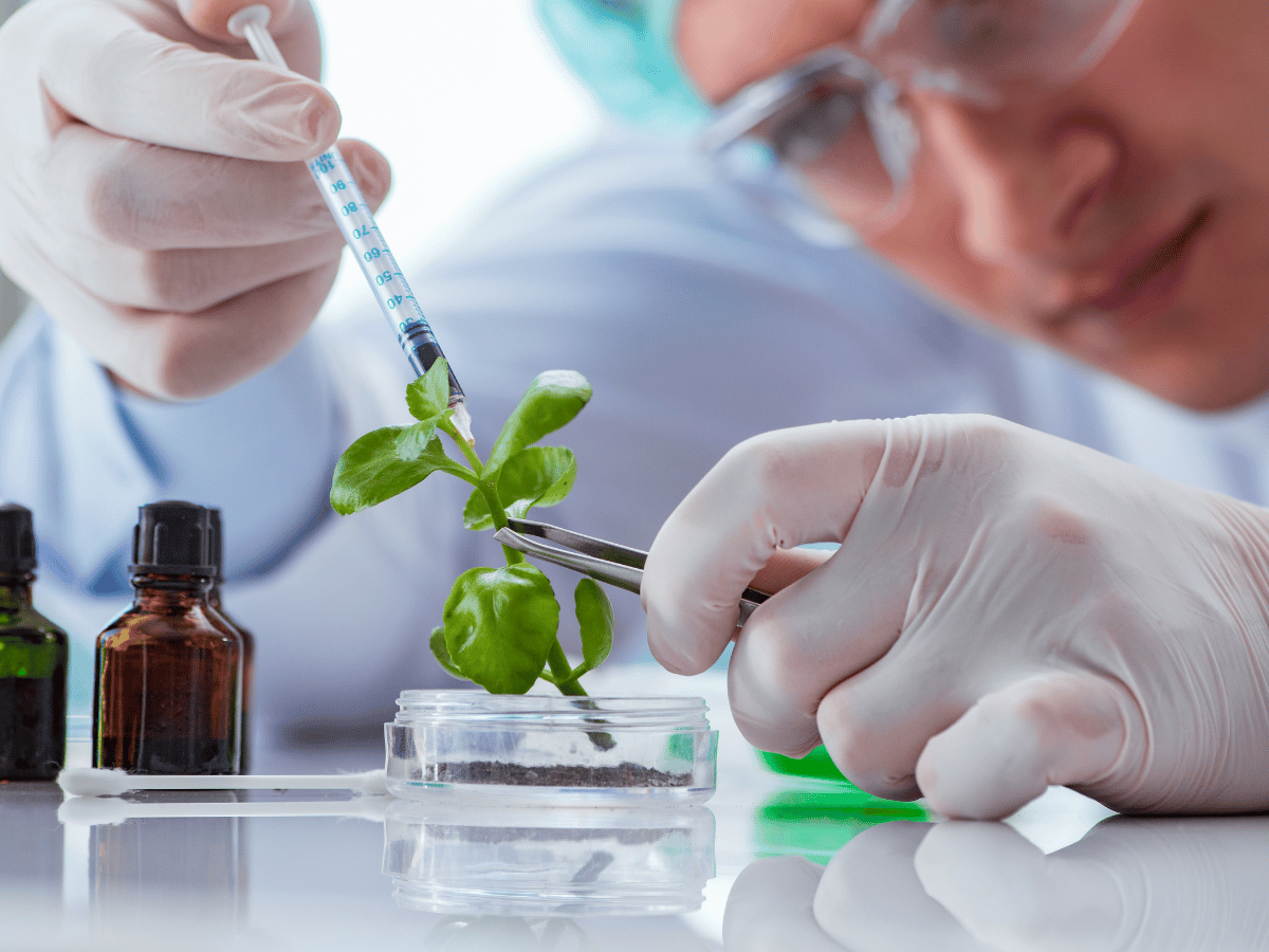 що-таке-біотехнологія